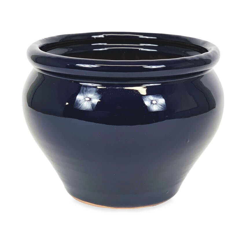 Bola Pot