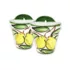 Hanging Plant Pots - Set of 2